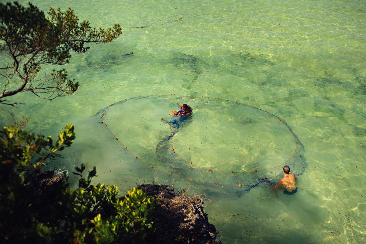 The Island - Pongwe Lodge (Adults Only) Buitenkant foto