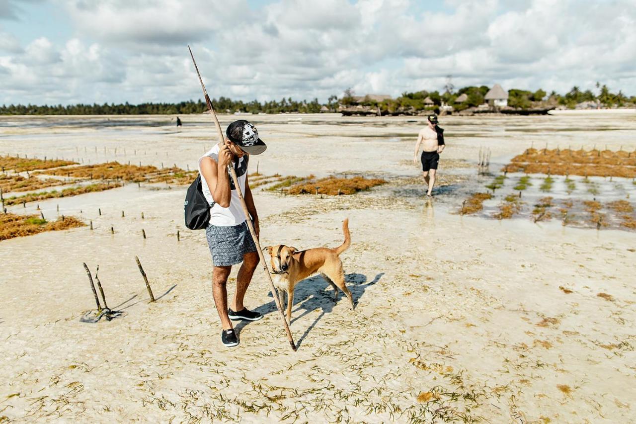 The Island - Pongwe Lodge (Adults Only) Buitenkant foto